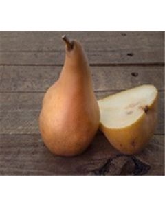 Organic Bosc Pears