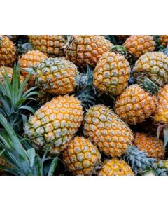 Organic Pineapple