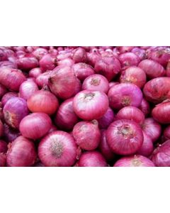 Organic Red Onions