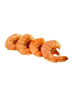 Fresh Wild Jumbo USA Gulf Shell on Shrimp